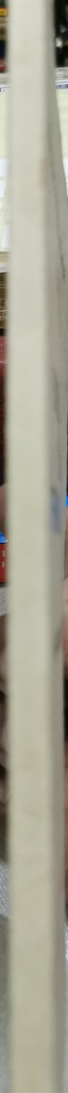 Stellung der Frau im Islam: Vierte Folge By Ayatollah Morteza Motahari