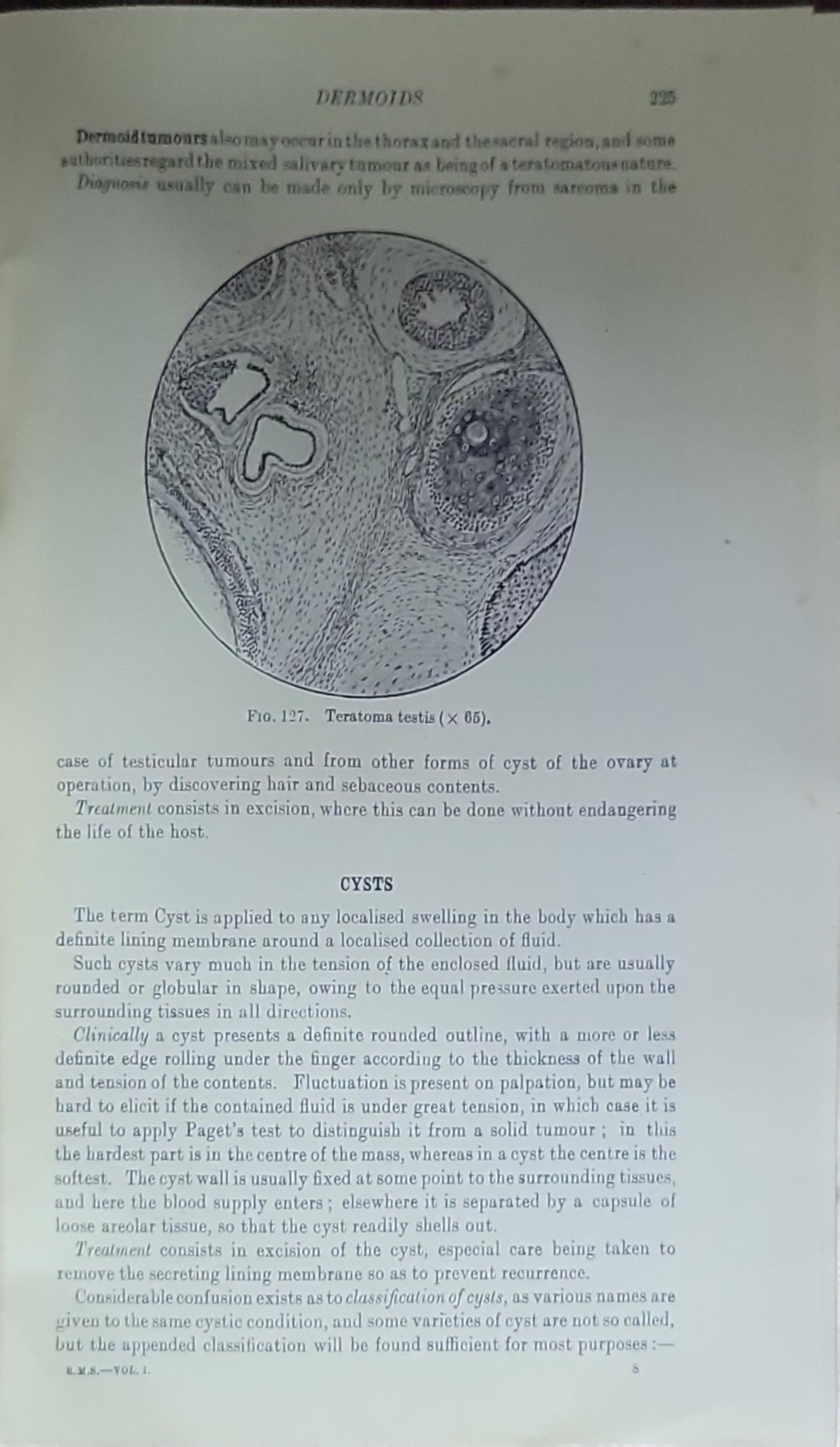 SURGERY ROMANS AND MITCHINER: VOLUME 1, 2 REGIONAL SURGERY Two Volumes