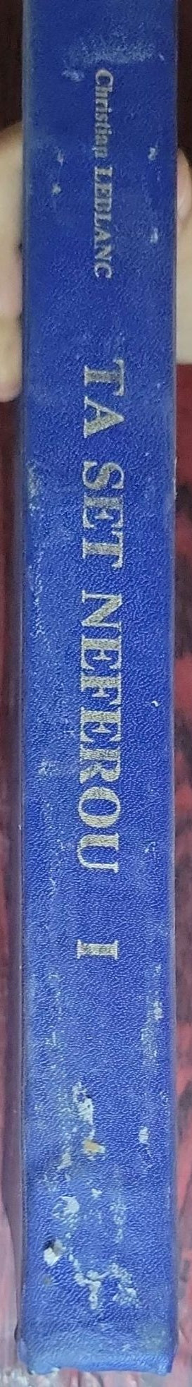 Ta Set Neferou: Une nécropole de Thèbes-Ouest et son Histoire
