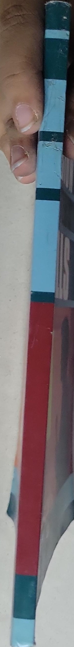 Television Presenter's Skills