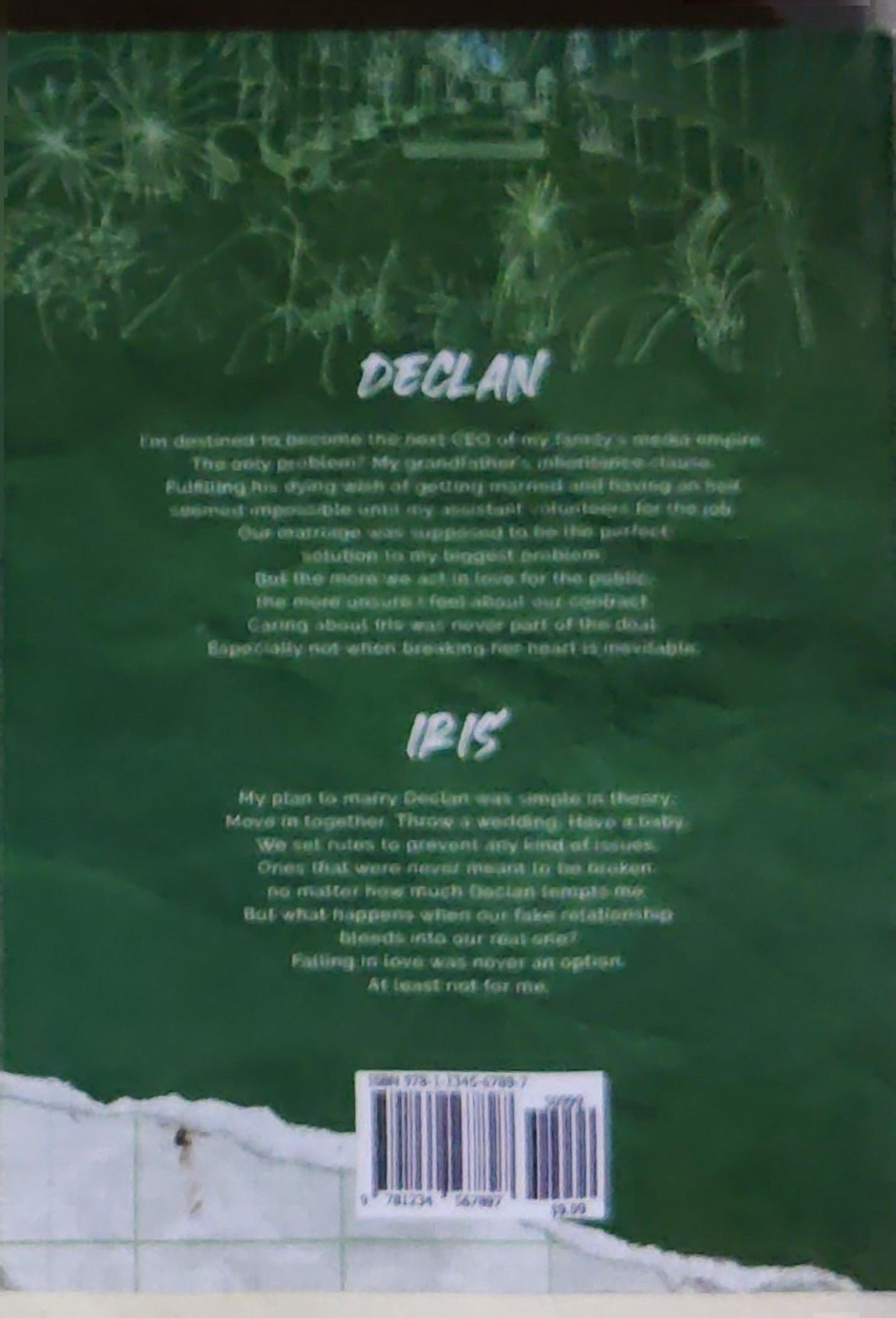 Terms and Conditions: Dreamland Billionaires #2