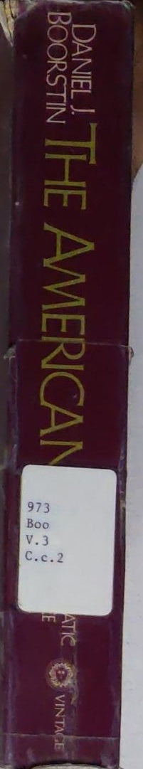 The Americans: The Democratic Experience