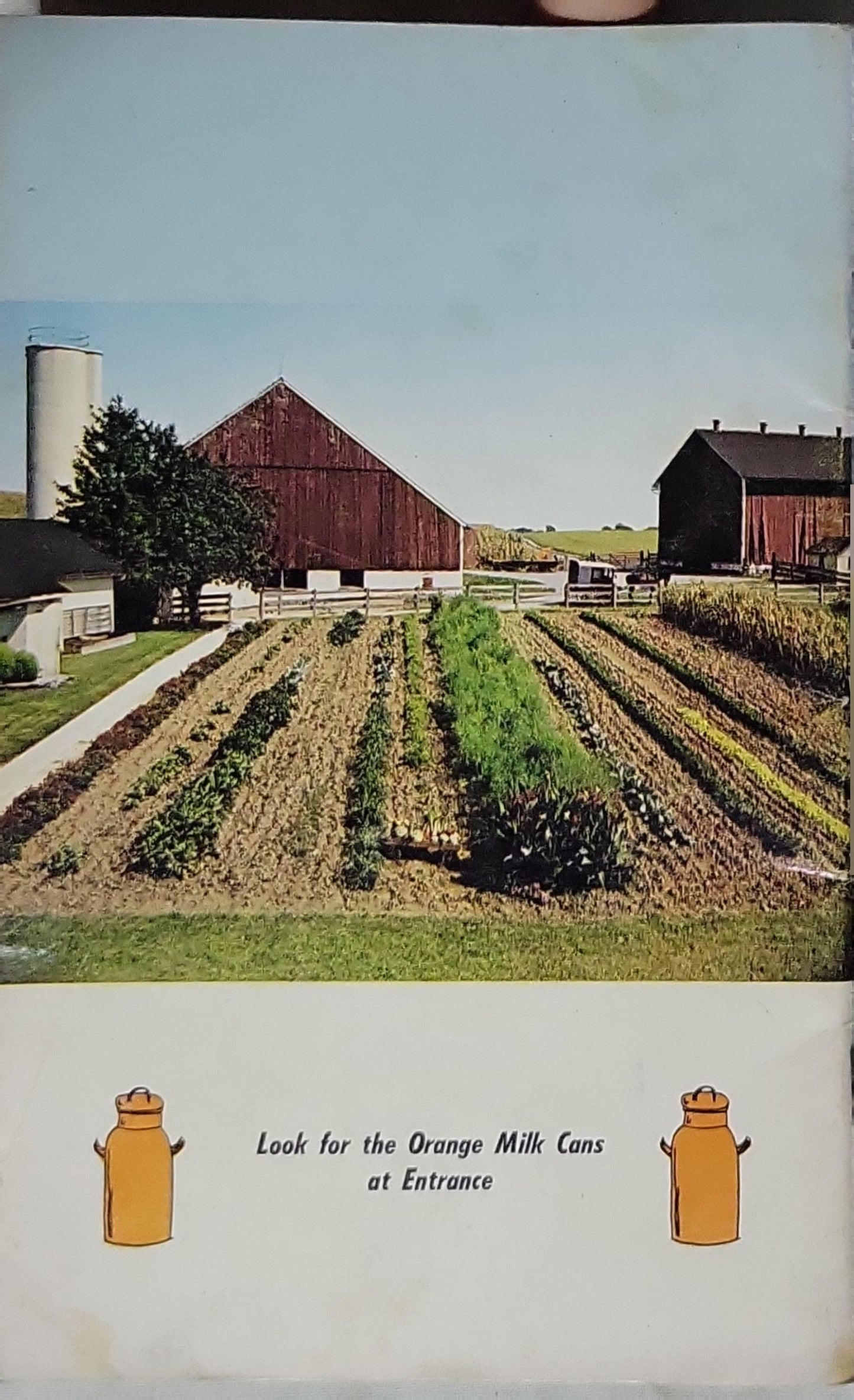 The Amish Homestead Cookbook