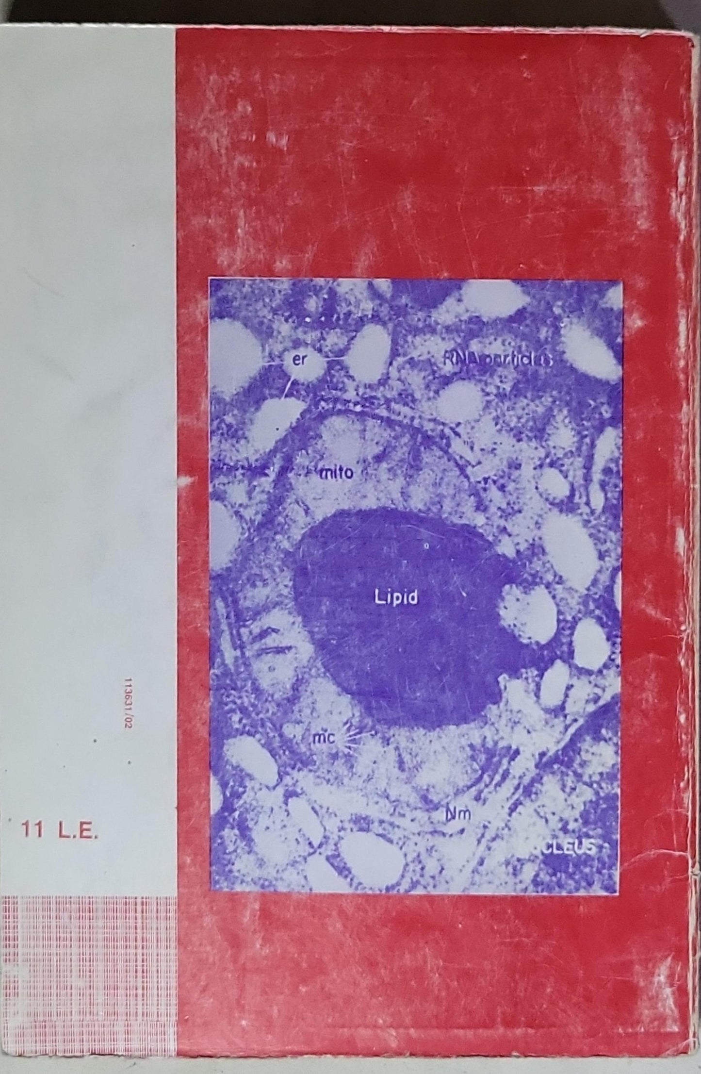 The Cell: Structure & Function