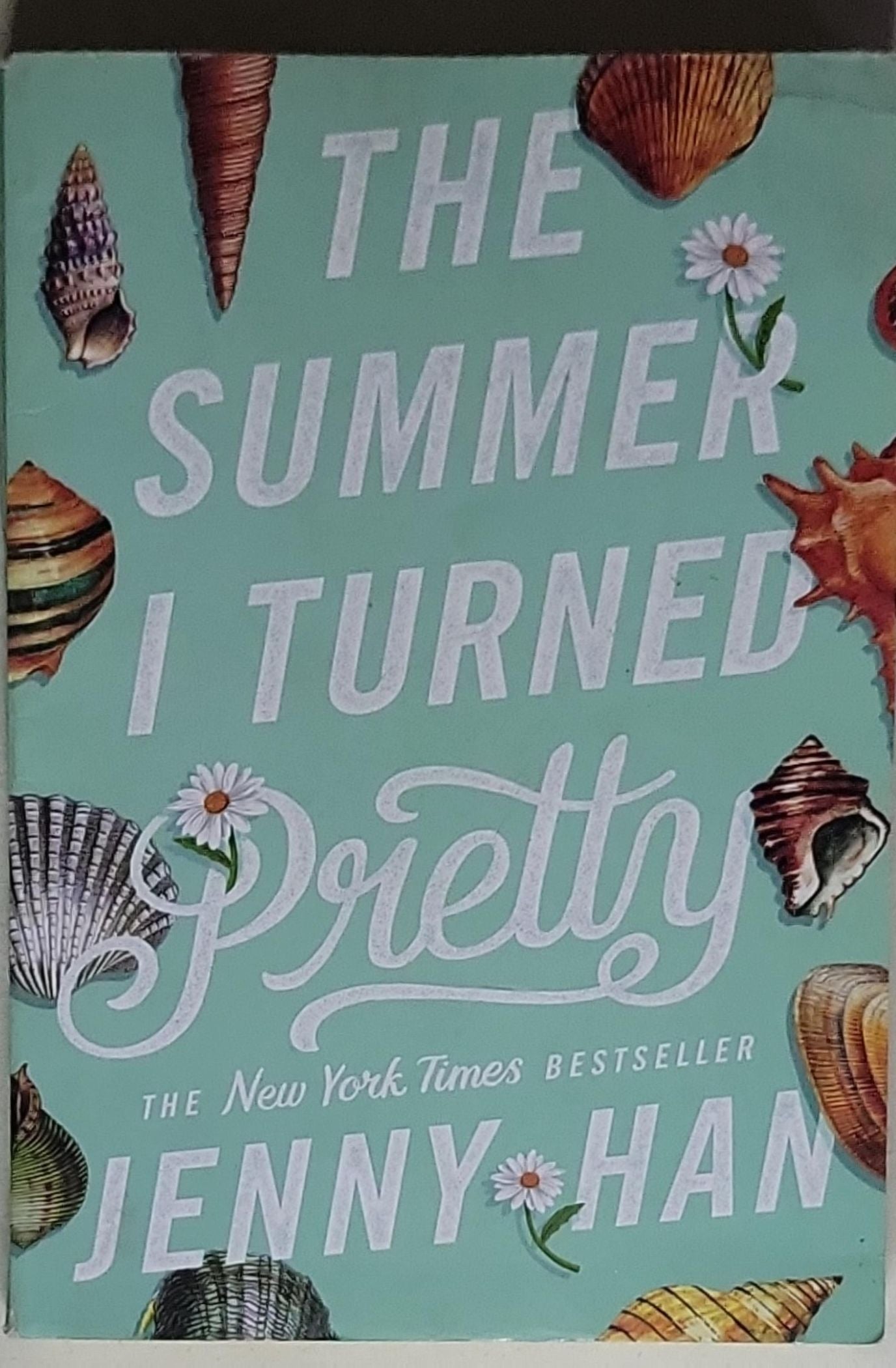 The Complete Summer I Turned Pretty Trilogy: The Summer I Turned Pretty; It's Not Summer Without You; We'll Always Have Summer