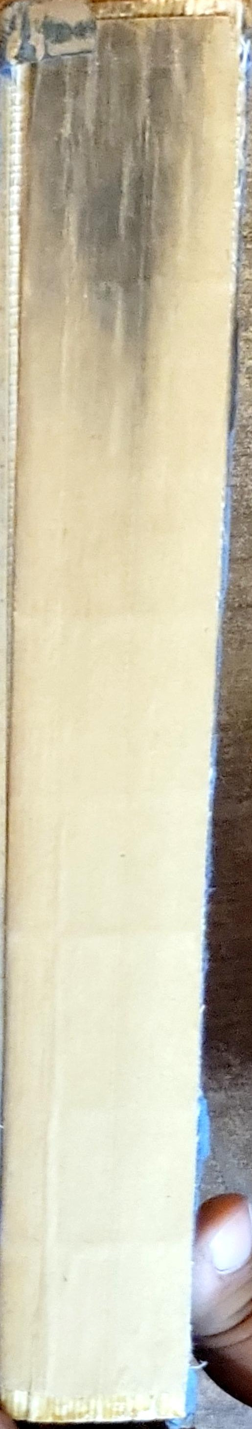 The Crescent and the Bull: A Survey of Archaeology in the Near East