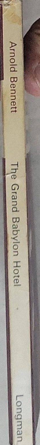 The Grand Babylon Hotel