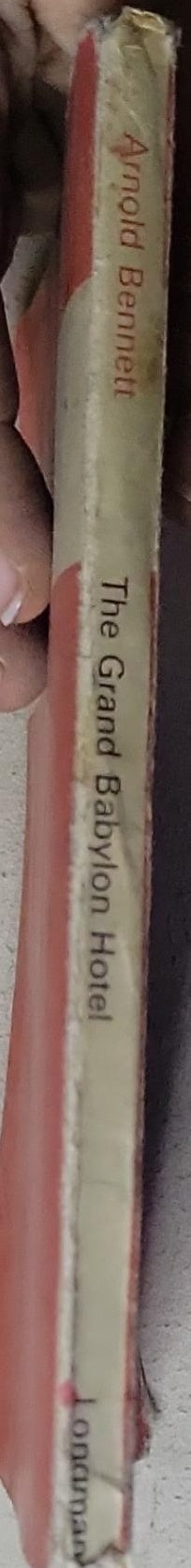 The Grand Babylon Hotel