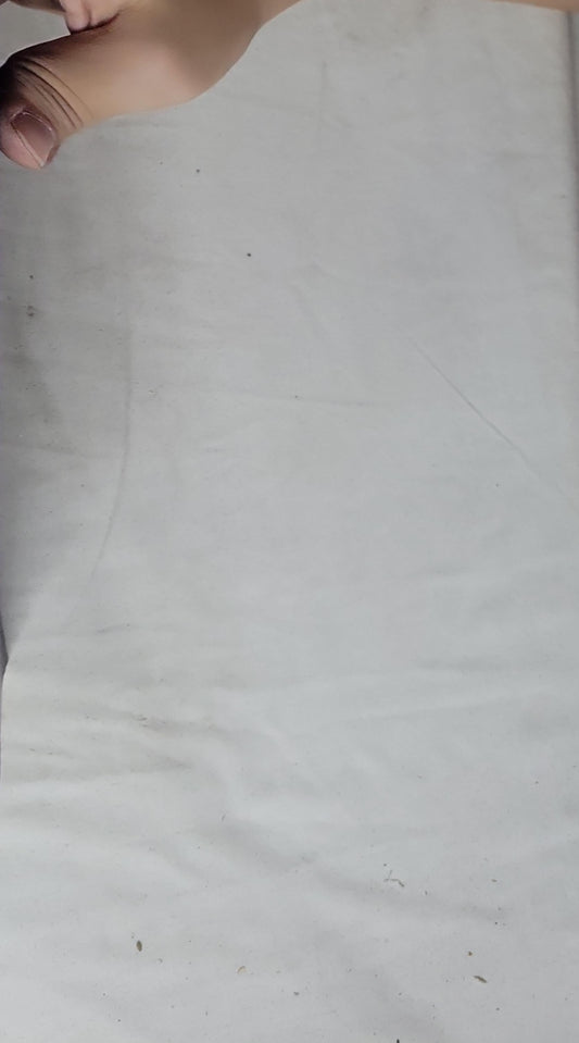 The Great Gatsby: Reader's Library Classics