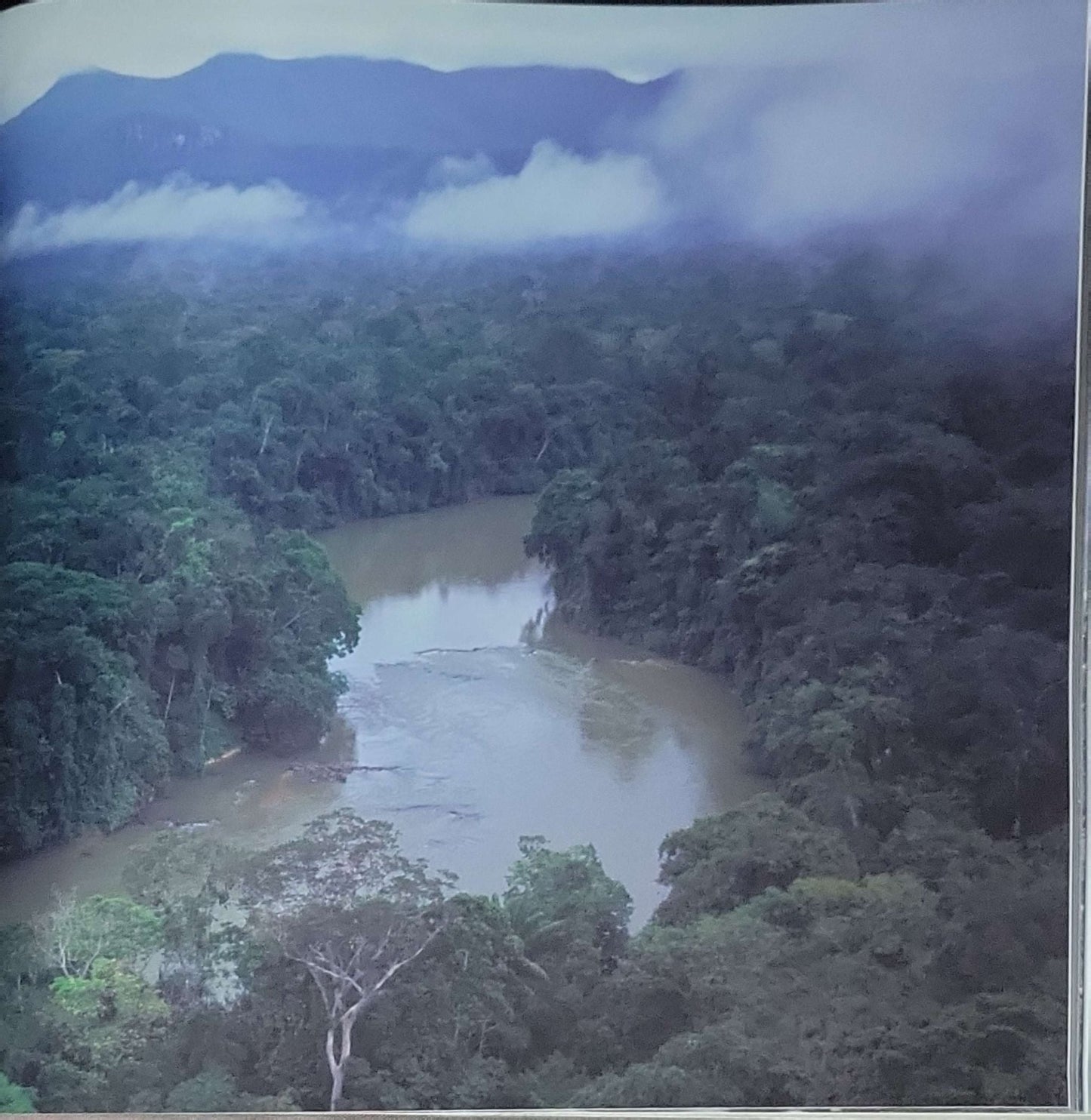 The Human Footprint: Challenges for Wilderness and Biodiversity