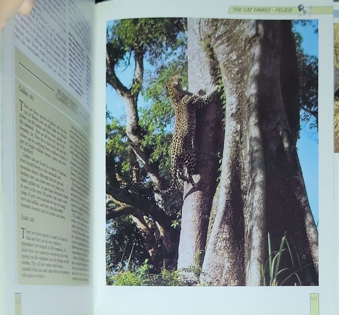 The Illustrated Encyclopedia of Wildlife: Volume 3