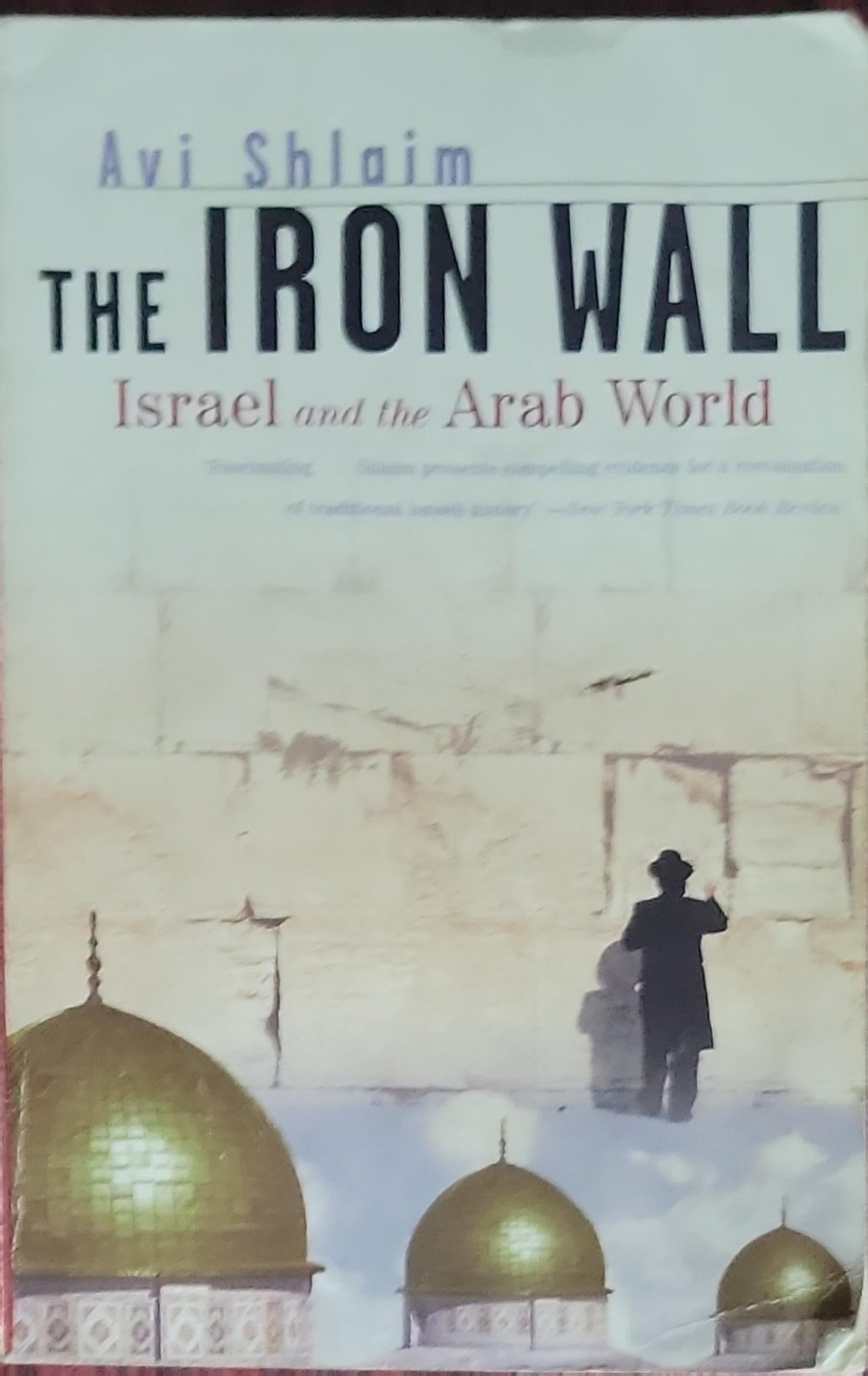 The Iron Wall: Israel and the Arab World