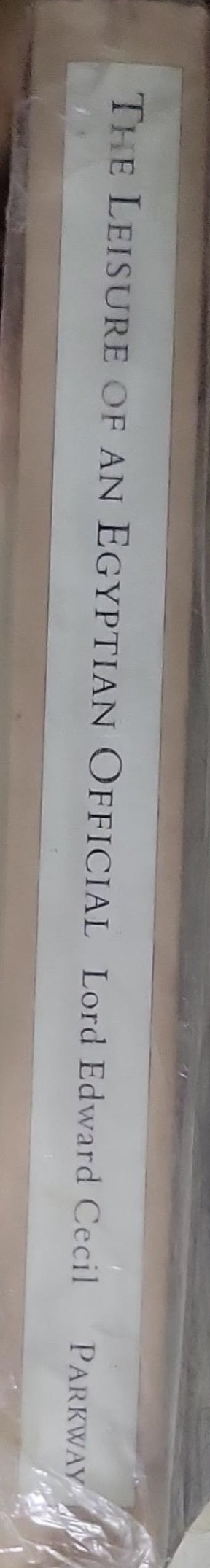The Leisure of an Egyptian Official