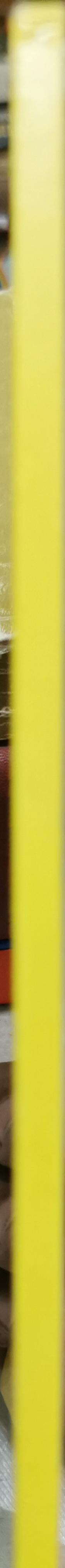 The Man in the Iron Mask By Alexandre Dumas and Elizabeth Gray and Ian Robertson