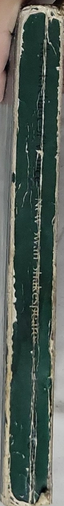 The Merchant of Venice: New Swan Shakespeare Series