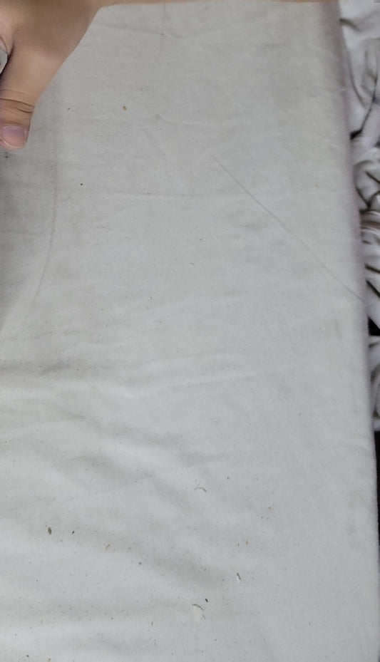 The Mill on the Floss