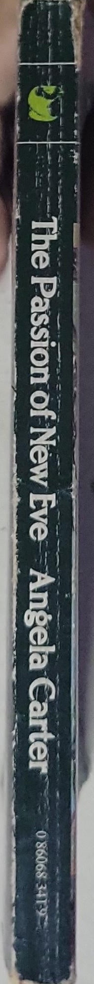 The Passion Of New Eve: Virago Modern Classics