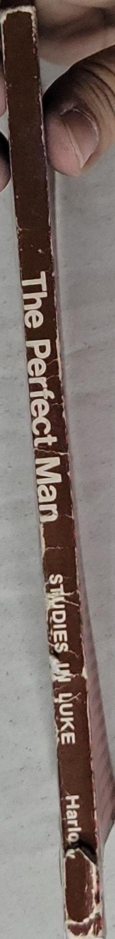 The Perfect Man: Studies in Luke