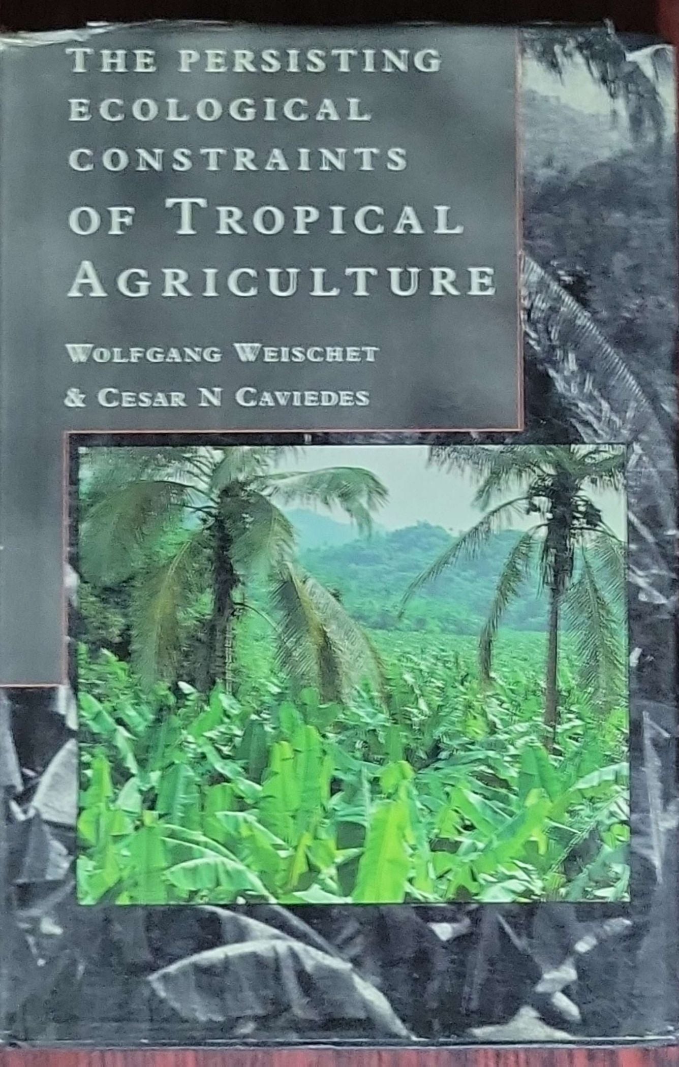 The Persisting Ecological Constraints of Tropical Agriculture