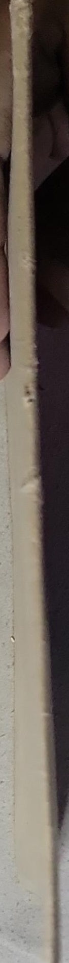 THE PHILOSOPHY OF THE REVOLUTION