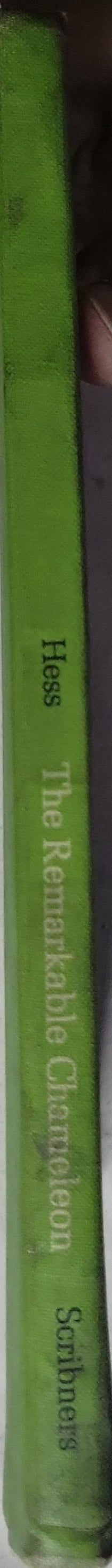 The Remarkable Chameleon