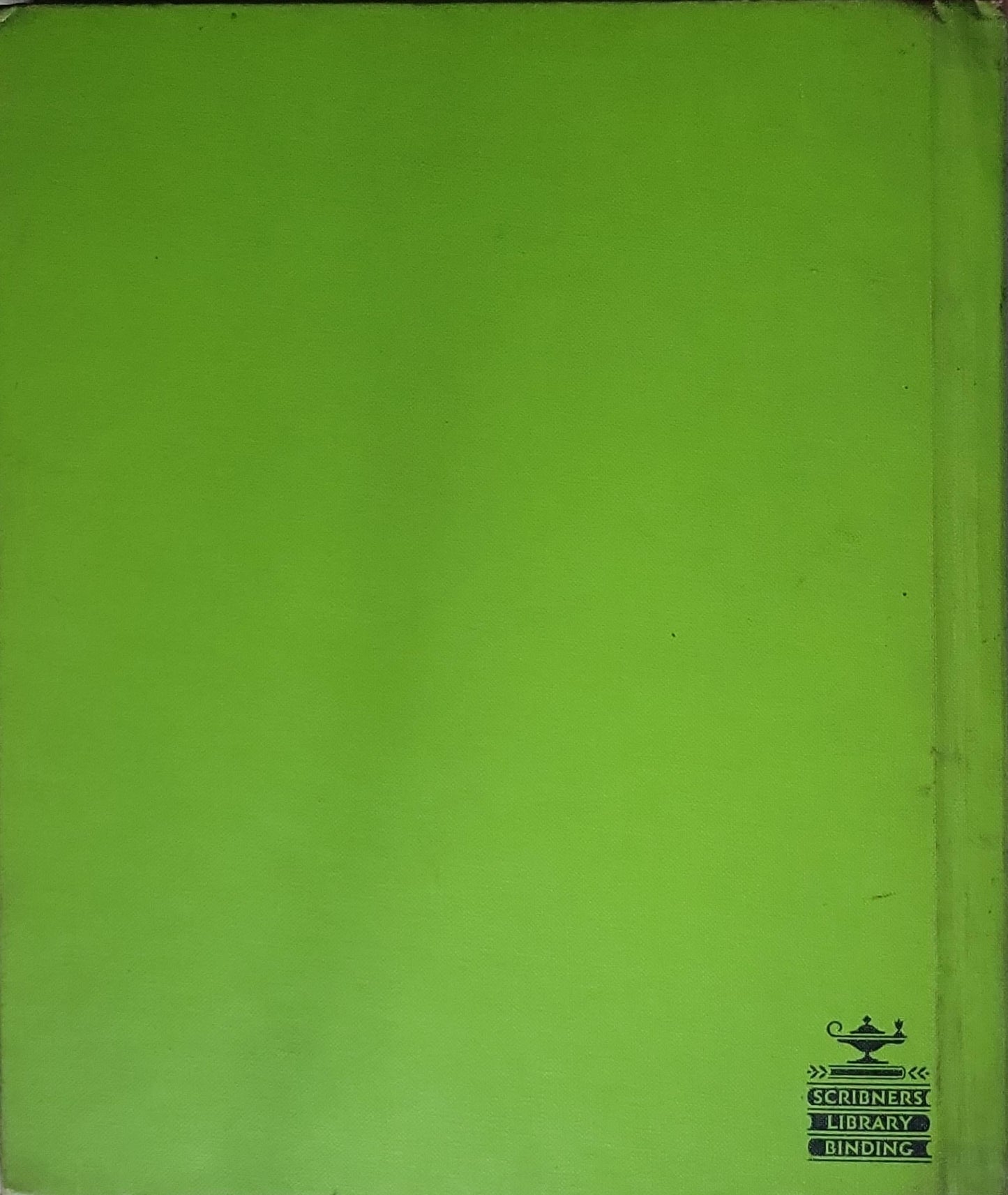 The Remarkable Chameleon