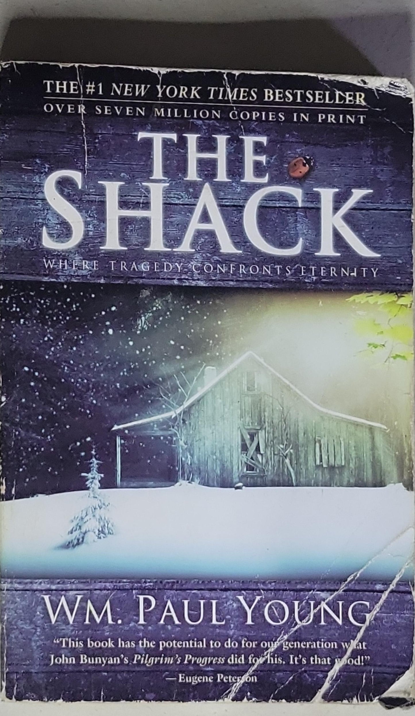 The Shack: Where Tragedy Confronts Eternity