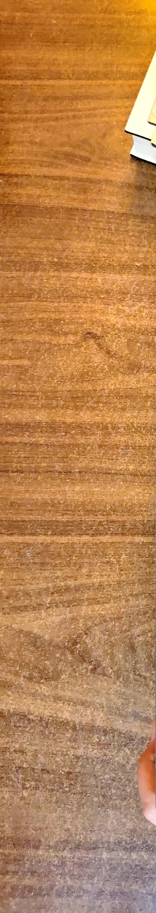 The Sorrows of Empire: Militarism, Secrecy, and the End of the Republic