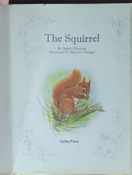 The Squirrel