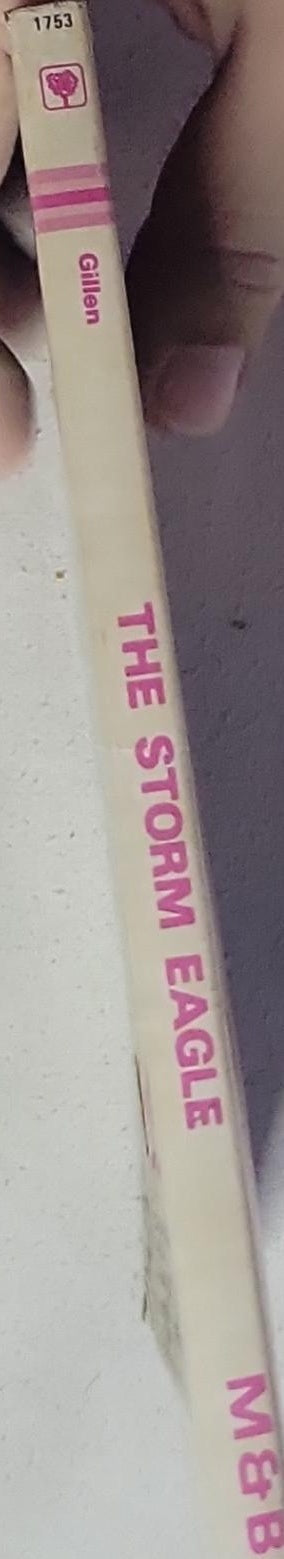 THE STORM EAGLE