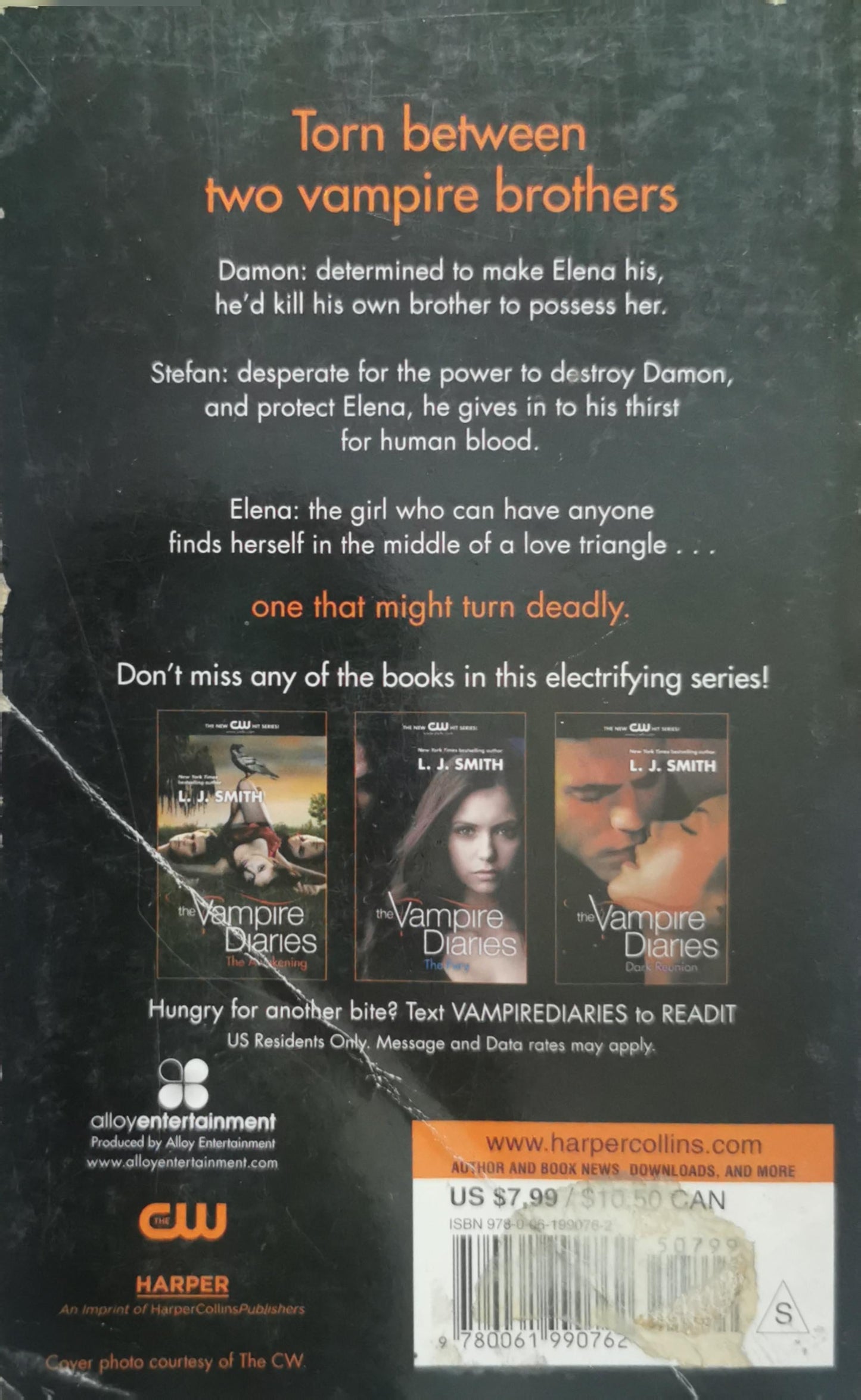 The Vampire Diaries: The Struggle By L. J. Smith