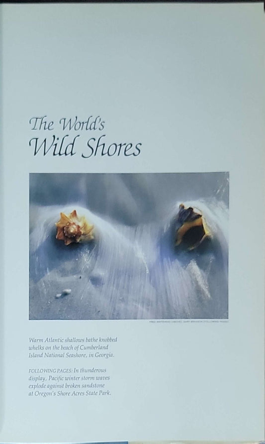 The World's Wild Shores