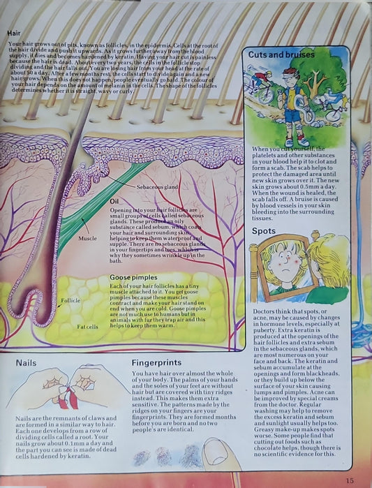 The Young Scientist Book of the Human Body: How it works and how to look after it