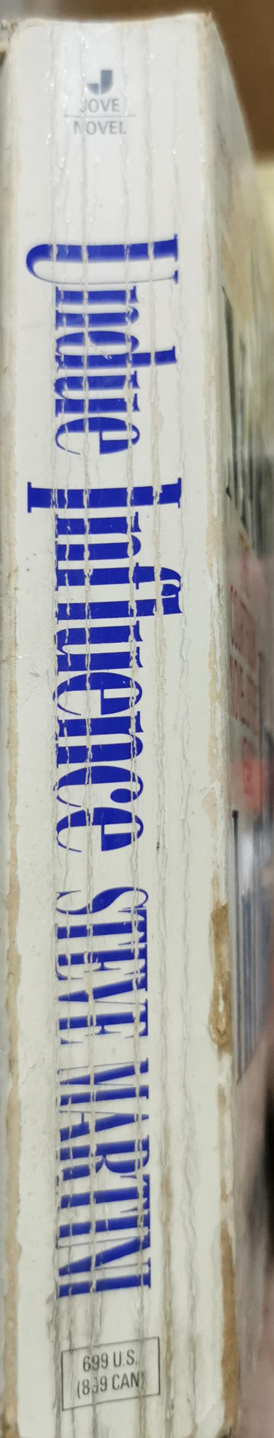 Undue Influence By Steve Martini