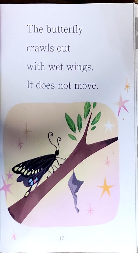 Uni the Unicorn and the Butterfly