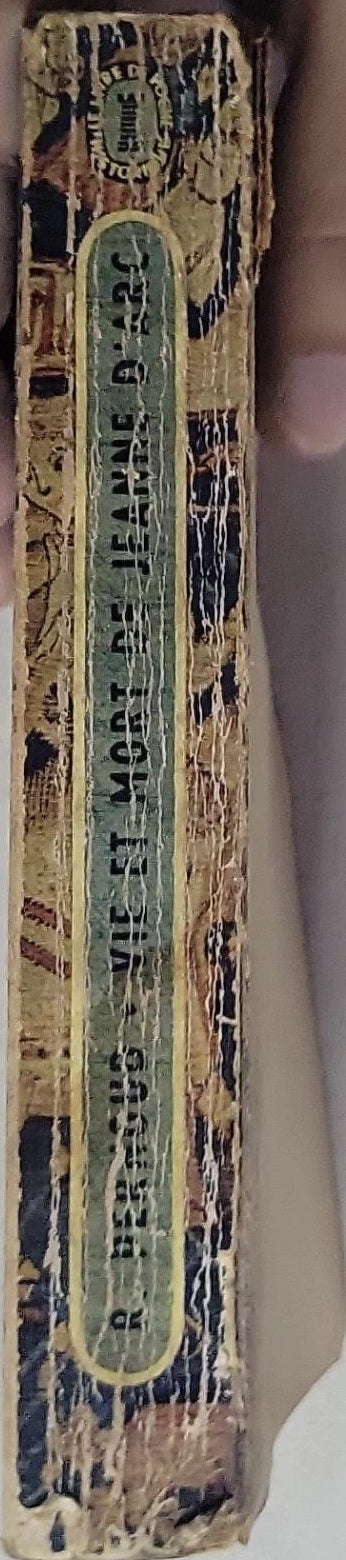 Vie et mort de Jeanne d'Arc: Les témoignages du procès de réhabilitation 1450-1456