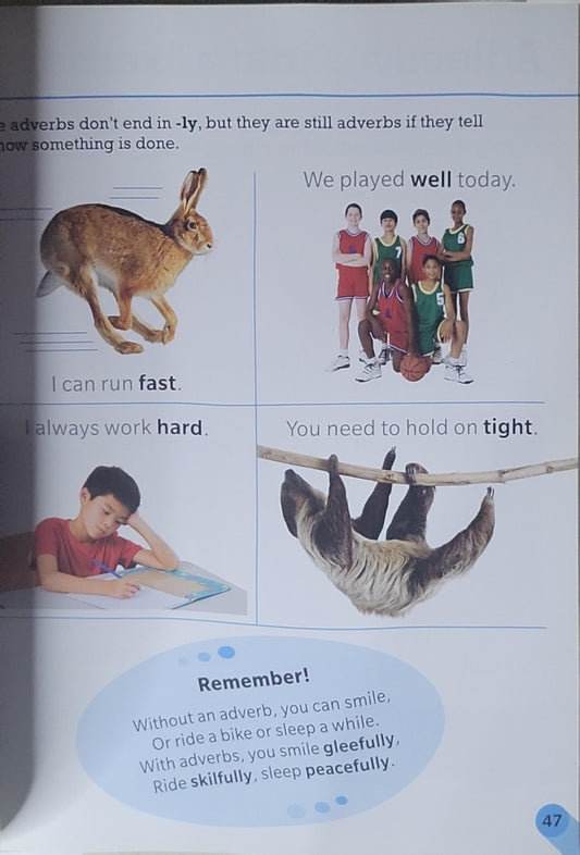 Visual Guide to Grammar and Punctuation