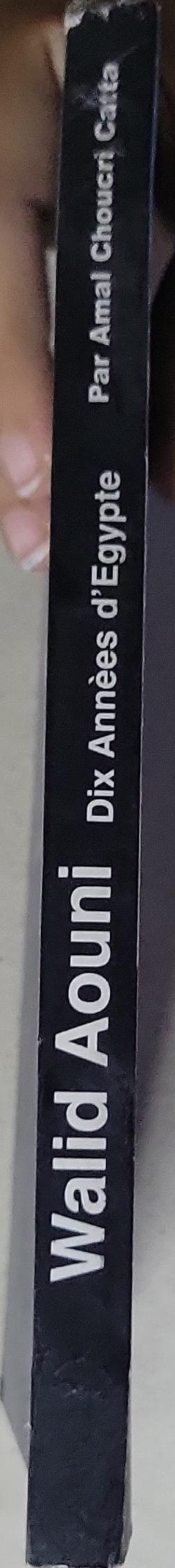Walid Aouni – Dix années d'Égypte