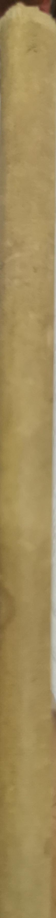 When Daddy Was a Little Boy By Alexander Raskin