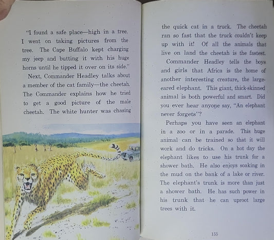 WINGING THROUGH LIGHTS AND SHADOWS