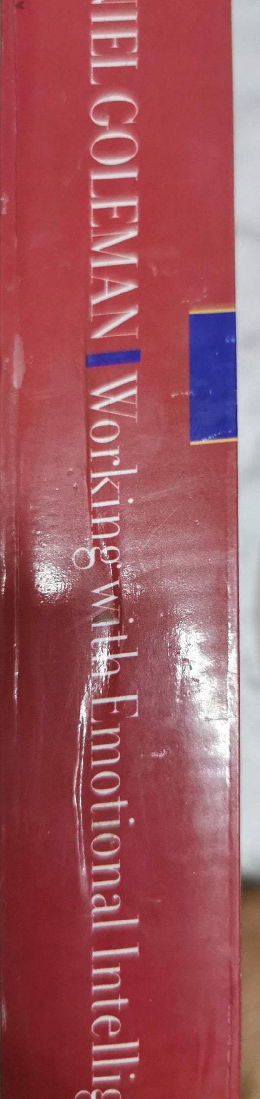 Working with Emotional Intelligence By Daniel Goleman