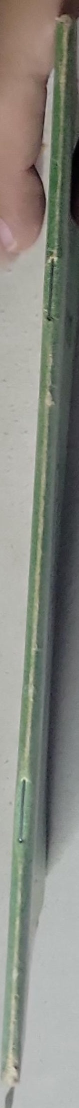 World Outreach Intercessory Prayer Warriors: Giving Birth to the Word of God in Prayer