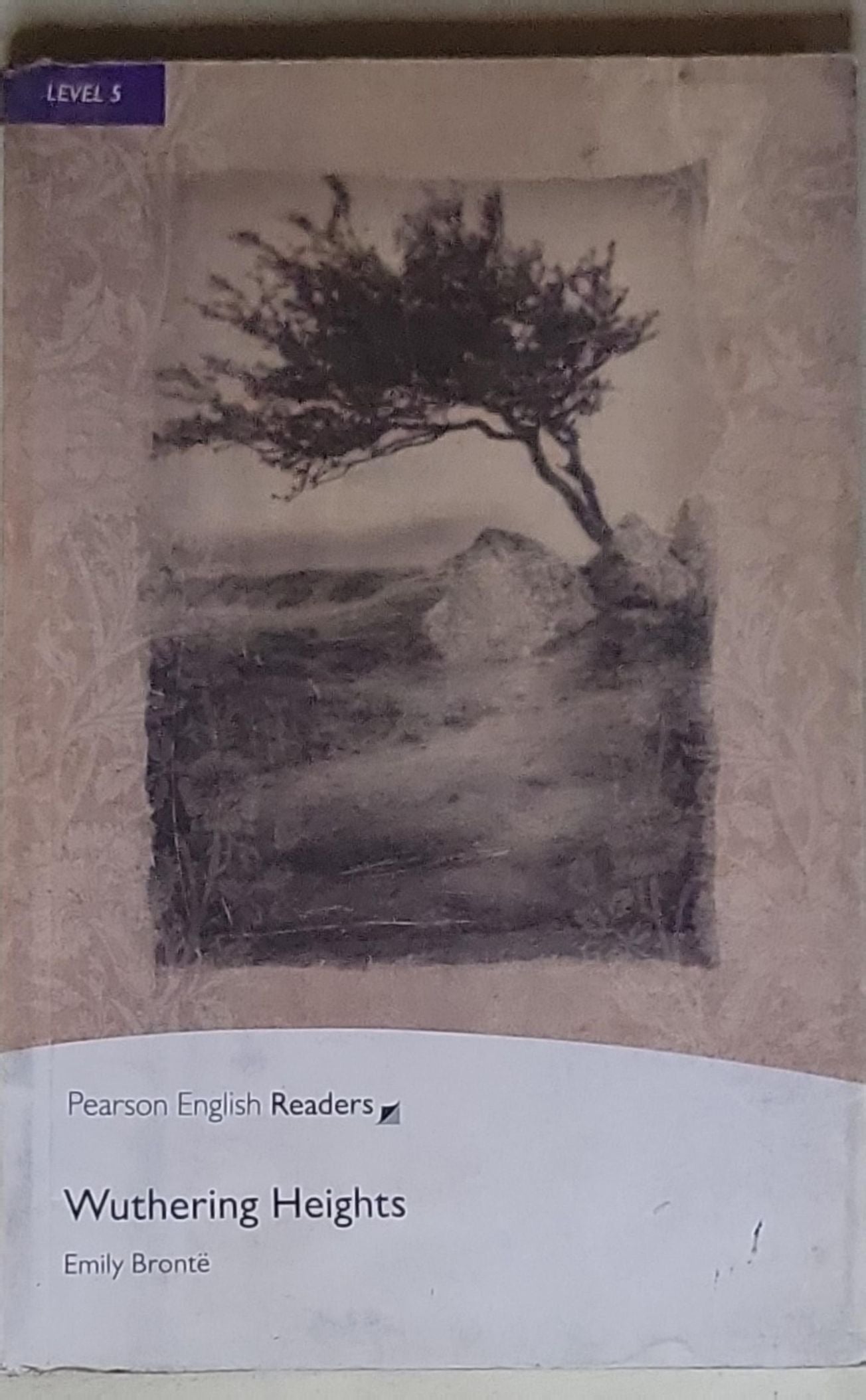 Wuthering Heights: Level 5 (Pearson English Readers)