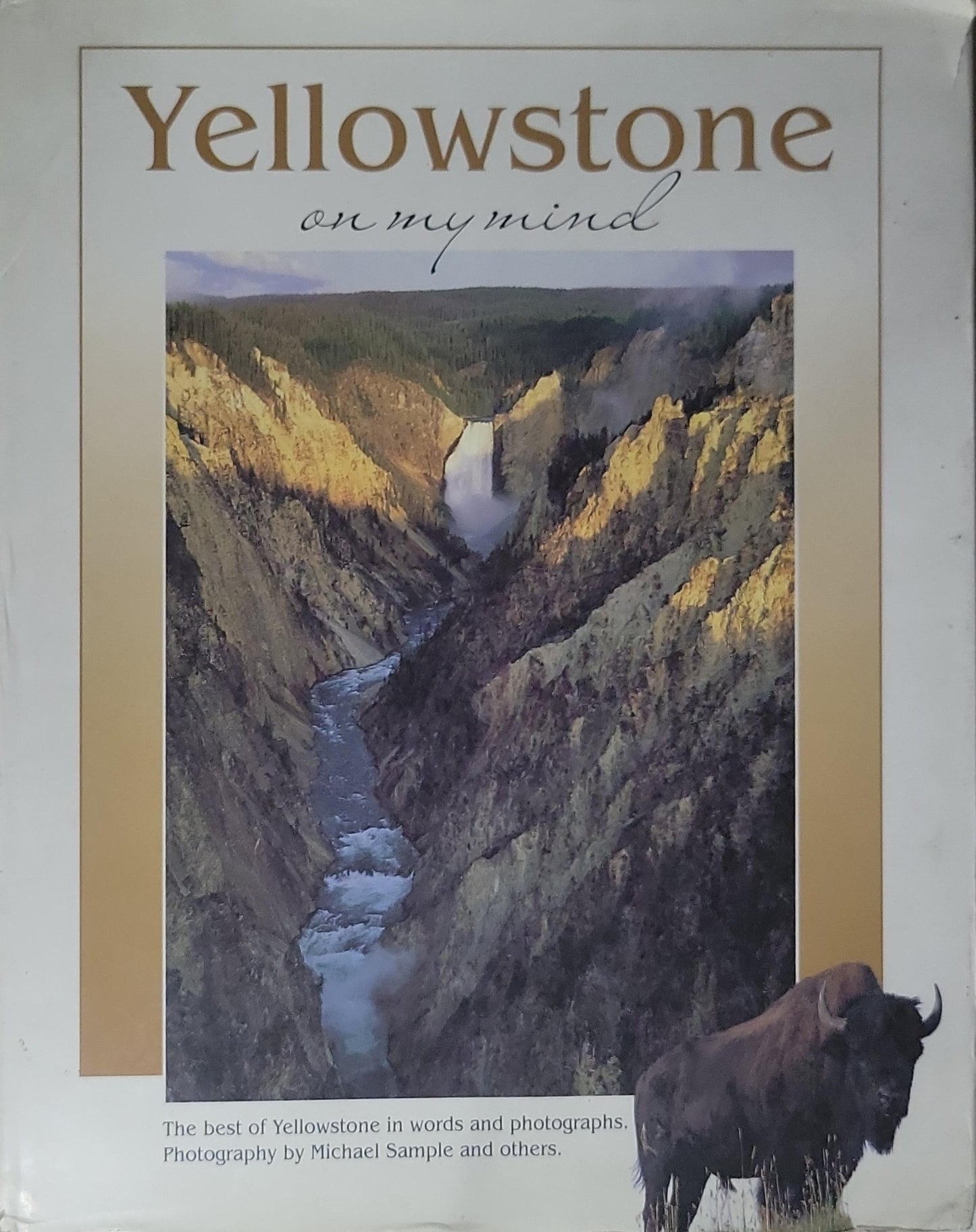 Yellowstone: On My Mind