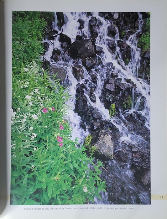 Yellowstone: On My Mind