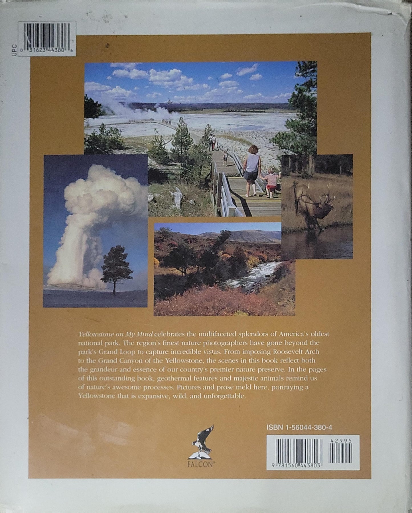 Yellowstone: On My Mind