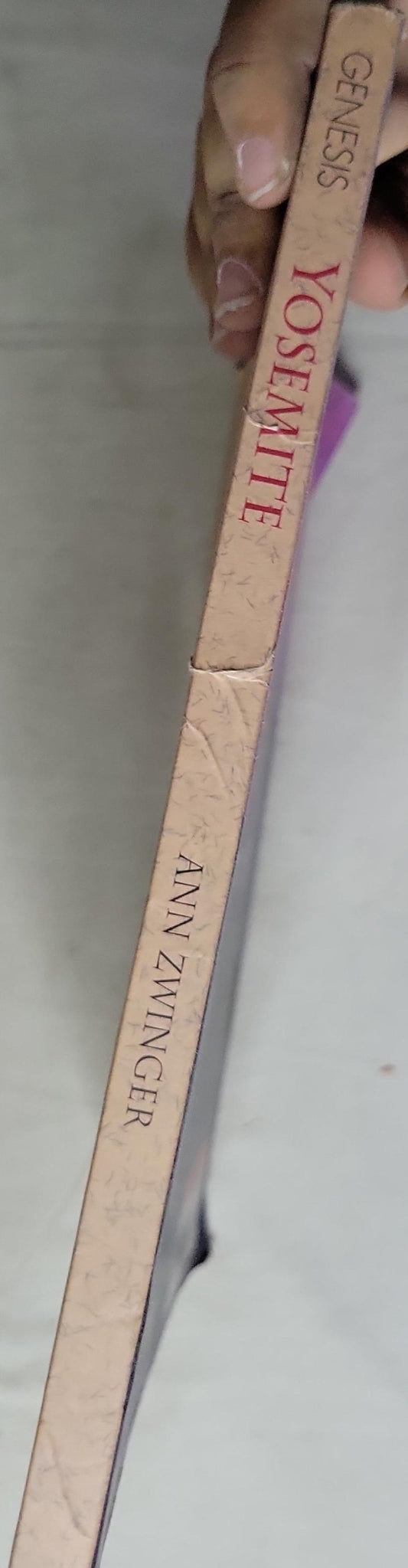 Yosemite: Valley of Thunder