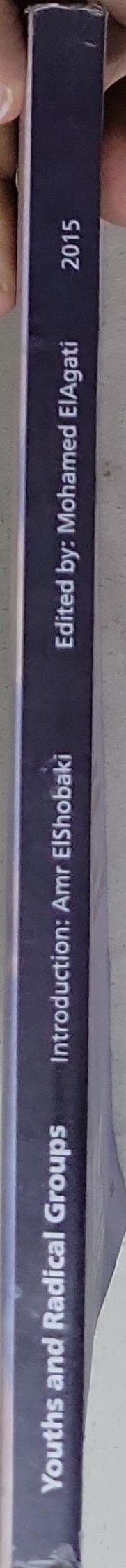 Youths and Radical Groups from the Perspective of Youths