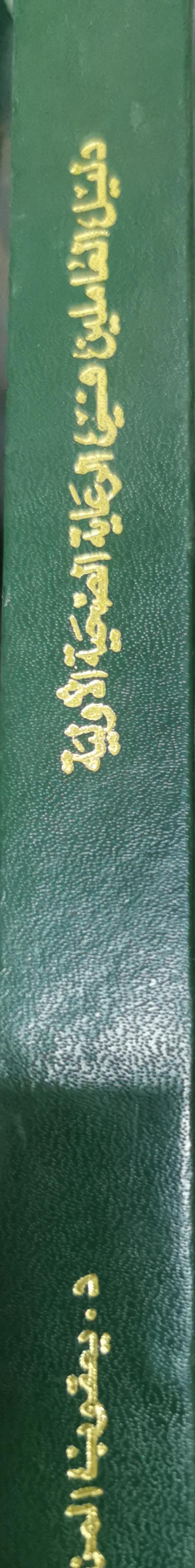 دليل العاملين في الرعاية الصحية الأولية By د. يعقوب المزروع
