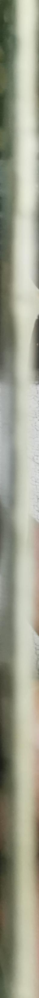 7 Sketches: Longman Structural Readers Stage 1 By Leslie Dunkling